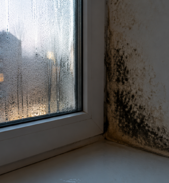 olor a humedad en casa moho pared ventana condensación vivienda